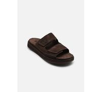 Timberland CASCO COVE 45 Marrón