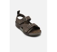 Timberland CASTLE ISLAND BACKSTRAP SANDAL C 32 Gris