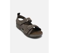 Timberland CASTLE ISLAND BACKSTRAP SANDAL J 38 Gris