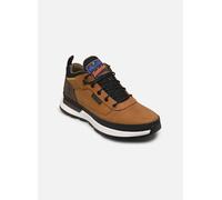Timberland Field trekker low lace sneaker 45 Marrón