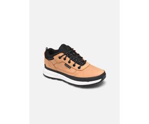 Timberland Field Trekker Low2 31 Marrón