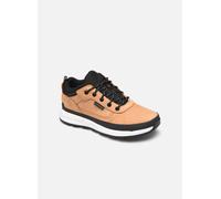 Timberland Field Trekker Low2 39 Marrón