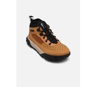 Timberland GREENSTRIDE MOTION 6 LOW LACE UP HIKING 31 Beige