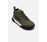 Timberland GREENSTRIDE MOTION 6 LOW LACE UP HIKING 31 Verde