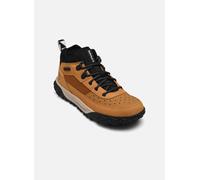 Timberland GREENSTRIDE MOTION 6 LOW LACE UP HIKING 39 Amarillo