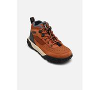 Timberland GREENSTRIDE MOTION 6 LOW LACE UP HIKING BOOT 32 Marrón