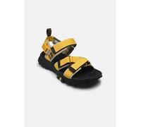 Timberland GRTR BACKSTRAP SANDAL MDYLW 45 Amarillo
