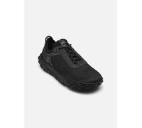 Timberland GSM6 LOW LACE HKR BOOT BLACK 43 Negro