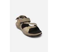 Timberland MTDN BACKSTRAP SANDAL LTBRN 44 Beige