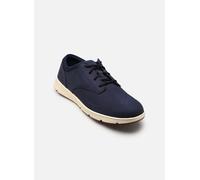 Timberland PARKER STREET 41 Azul