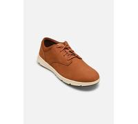 TIMBERLAND Calzado deportivo con cordones marrón rojizo 42 EUR