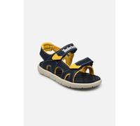 Timberland Perkins Row 2-Strap 32 Azul