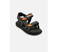 TIMBERLAND Sandalias Perkins Row 2-Strap. Color Verde Oscuro