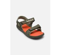 Timberland Perkins Row BACKSTRAP SANDAL 37 Verde