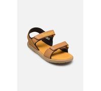 Timberland Perkins Row BACKSTRAP SANDAL 40 Marrón