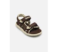 Timberland Perkins Row BACKSTRAP SANDAL B 27 Marrón