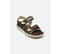 Timberland Perkins Row BACKSTRAP SANDAL C 32 Marrón