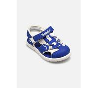 Timberland Perkins Row FISHERMAN SANDAL B 22 Azul