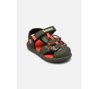 Timberland Perkins Row FISHERMAN SANDAL B 25 Verde