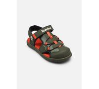 Timberland Perkins Row FISHERMAN SANDAL C 31 Verde
