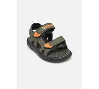 Timberland Perkins Row2 STRAP SANDAL 21 Verde