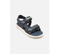 Timberland Perkins Row2 STRAP SANDAL 33 Azul