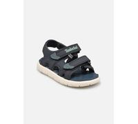 Timberland Perkins Row2 STRAP SANDAL T 22 Azul