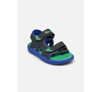 Timberland Perkins Row2 STRAP SANDAL T 22 Gris