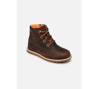 Timberland Pokey Pine 6In Boot with 22 Marrón