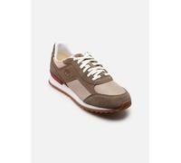 Timberland SCOUT HEIGHTS 40 Beige