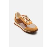 Timberland SCOUT HEIGHTS 40 Marrón