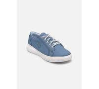 Timberland Seneca Bay Fabric Ox 33 Azul