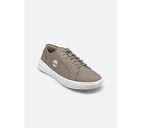 Timberland Seneca Bay Oxford 42 Beige