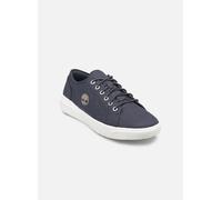 Timberland Seneca Bay Low Sneakers Zapatos Hombre Canvas Azul TB0A66NN-EP4 Nuevo