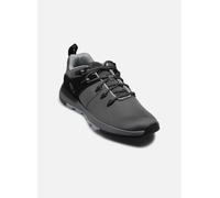 Timberland SPTK LOW LACE SNEAKER MDGRY 41 Gris
