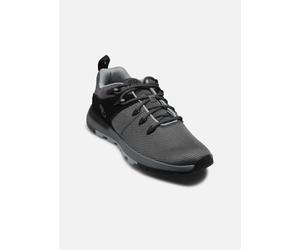 Timberland SPTK LOW LACE SNEAKER MDGRY 43 Gris