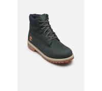 Timberland Timberland Premium 6" Lace Up Waterp 36 Verde
