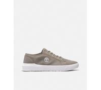 Timberland Timberland - Zapatillas Seneca Bay de hombre tipo casco bajas lona. Topo Talla 40