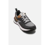 Timberland VOYAGER PARK 42 Gris