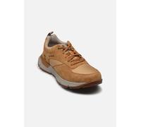 Timberland VOYP LOW LACE SNEAKER WHEAT 40 Marrón