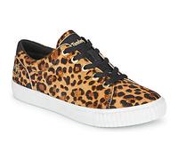 Timberland Zapatillas SKYLA BAY LEATHER OXFORD in Marrón 36