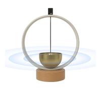 Timbre eléctrico para puerta | Colección de sonidos y claros - Timbre para entrada, para pared, tienda, armario, frigorífico, jardín, regalo