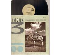 TIMBUK 3 - TIMBUK 3 - THE FUTURE'S SO BRIGHT I GOTTA WEAR SHADES - 12 inch vinyl
