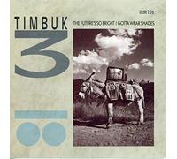 TIMBUK 3 - TIMBUK 3 - THE FUTURE'S SO BRIGHT I GOTTA WEAR SHADES - 7 inch vinyl / 45