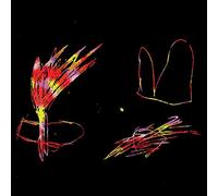 Time Flies When You Are Having Fun [Vinilo]