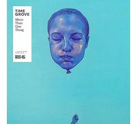 Time Grove - More Than One Thing [Vinilo]