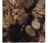 Time Is the Space Between the Margins (UK Import)