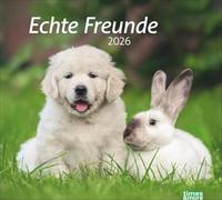 times&more Echte Freunde Bildkalender 2026: Süße Tierfreundschaften in einem Kalender. Hochwertiger Fotokalender für Tierfreunde. times&more Wandkalender im Querformat.