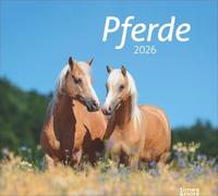 times&more Pferde Bildkalender 2026: times&more Tierkalender für Pferdefreunde. Kalender mit spektakulären Fotos edler Pferde. Wand-Kalender 2026.