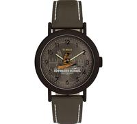 Timex Reloj unisex Harry Potter x Weekender Sorting Hat de 37 mm, color verde, dos piezas, esfera verde, caja en tono bronce